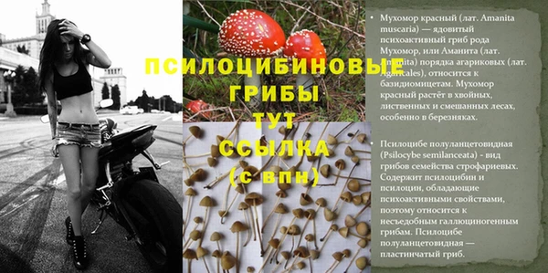 ешки Володарск