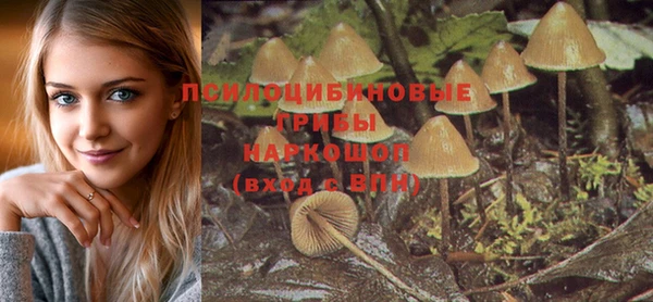 Альфа ПВП Волоколамск