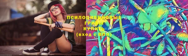 ешки Володарск