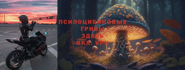 Альфа ПВП Волоколамск